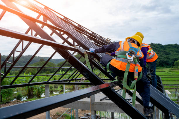 Best Storm Damage Roof Repair  in Decatur, AL