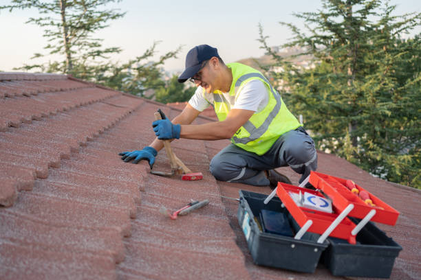 Roof Gutter Cleaning in Decatur, AL